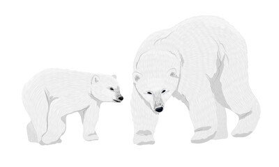 White polar bear and her cub. Wild animals of the Arctic. Realistic vector animal