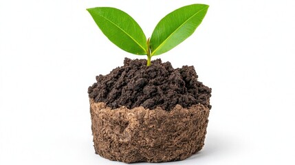A photostock of rich dark compost soil forming a neat pile on a white background, ideal for gardening, farming, or environmental visuals. High Quality