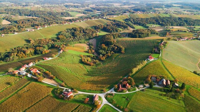 Stunning aerial 4K drone footage of an wine region of Kog, Slovenia. Filmed on a crisp, sunny late autumn day, this video shows beautiful Slovenian countryside surrounded by vineyards.