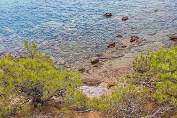Picturesque view of a pine tree overlooking a rocky coastline and the shimmering blue sea.