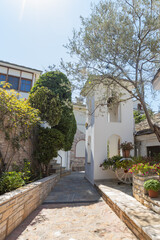 Fototapeta premium A serene courtyard filled with vibrant flowers, whitewashed walls, and lush greenery at the Monastery of Archangel Michael in Thassos, Greece.