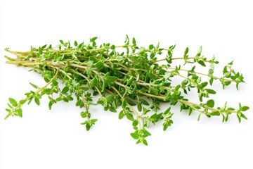Obraz premium Fresh thyme sprigs ready for culinary use in cooking or flavoring dishes
