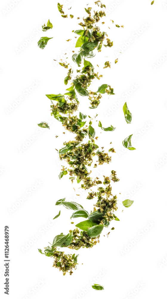 Poster Falling basil, isolated on transparent background