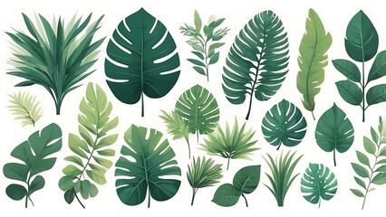 A Collection Of Lush Green Tropical Leaves And Plants