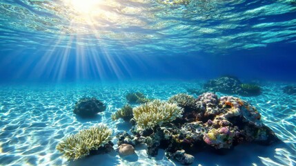 Fototapeta premium Underwater Sunlight Illuminates Vibrant Coral Reef and Colorful Marine Life in Clear Tropical Ocean Water