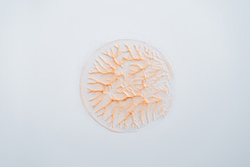 beige cream circle with veins on white background