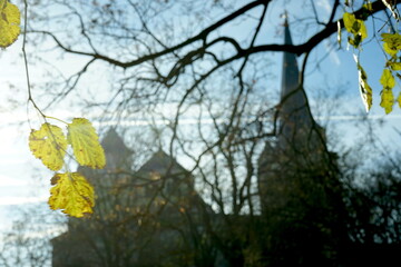 Fototapete bei efototapeten.de bestellen   
