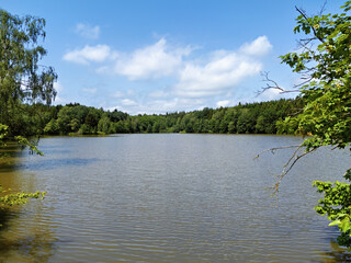 small lake in Germany surrounded by trees in late summer