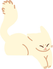 white cat
