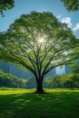 Obraz premium Large green tree with a city skyline background, bright and sunny day
