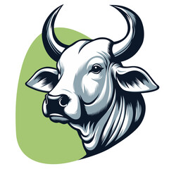 CARA DE BOI NELORE 4