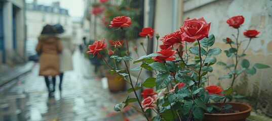 Charming street of florist shops featuring bright red roses and couples enjoying their stroll