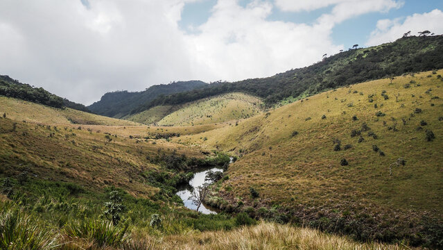The landscape of Horton Plains National Park in Sri Lanka