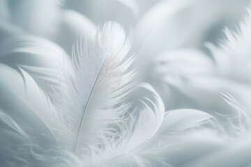 Obraz premium Weiße, flauschige Federn in Nahaufnahme, perfekt als zarter, texturierter Hintergrund für Designprojekte, mit sanften Lichtreflexen und neutralem Farbton. Generative KI