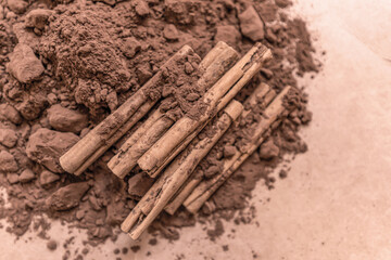 Cinnamon sticks and Cocoa powder with pressed lumps of mocha mousse color 2025, soft brown, coffee color