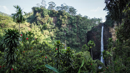 The view of Laxapana Falls in Sri Lanka