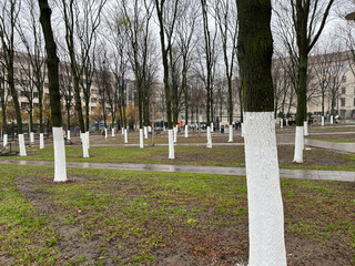White painted tree trunks in the city park © Martins