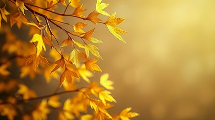 Golden Autumn Leaves Branch Detail Sunlit foliage with intricate leaf veins and a soft, warm background.