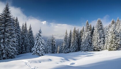 scenic winter landscape with snow and evergreens