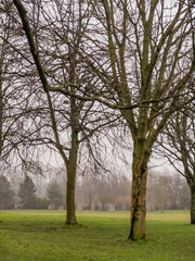 Glasgow, Scotland, UK