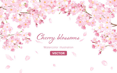 桜と散る花びらのアーチ型フレーム。水彩イラスト（ベクター。レイアウト変更可能）