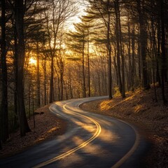 Fototapeta premium winding road through autumn forest at sunset