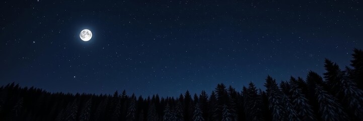 Naklejka premium This enchanting image captures the beauty of a winter night, with a full moon illuminating a snow-covered forest. The contrast between the dark silhouettes of the trees and the bright moonlight create