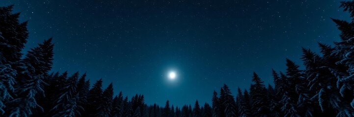 This enchanting image captures the beauty of a winter night, with a full moon illuminating a snow-covered forest. The contrast between the dark silhouettes of the trees and the bright moonlight create