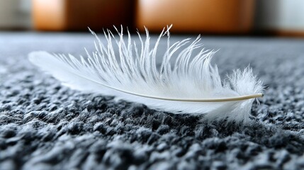 A white feather lies on a textured gray carpet.

