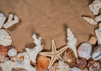 Sea shells scattered on old rustic vintage paper with blank space for text, top view of Seashells...