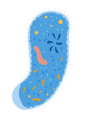 Design element of school subject icon concept. Education in school. Flat vector illustration isolated on white background