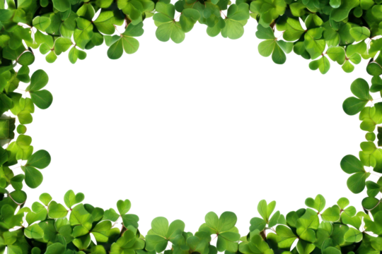 PNG Clover leaf nature plant green. - Powered by Adobe