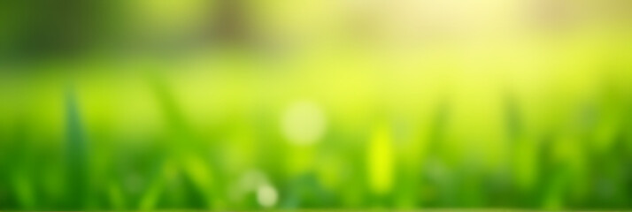 A blurred bokeh of green lawn garden is often seen as a soothing morning background image of spring nature._00002_