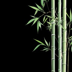 Naklejka premium bamboo forest background