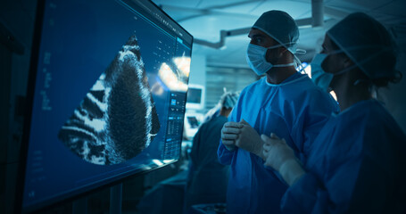 Female Surgeon Studies Ultrasonography Imaging on a Big Monitor, Collaborating with Her Male Team...