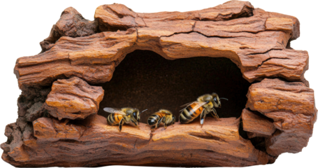 Bees resting inside a wooden hive structure