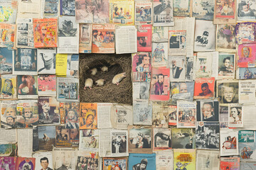 Collage of vintage magazine clippings surrounding a nest of baby mice.  Nostalgic and intriguing image showcasing the contrast between the past and present.