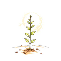 Earthy Sketchnote Illustration of a Young Plant in Morning Light
