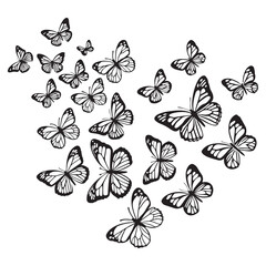 Monarch butterflies set. Monarch Butterfly Silhouettes collection