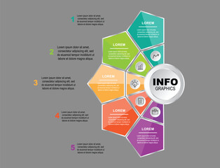 Infographic Hexa Design