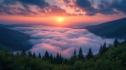 A breathtaking sunrise over a sea of clouds in a lush green valley.