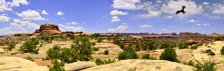 Canyonlands National Park, Utah, USA