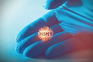 Virus Sample for H5N1 (Avian Influenza virus) test, avian influenza virus (AIV), avian flu or bird flu.