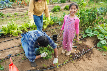 Indian family picking up organic vegetables from house garden outdoor - Vegetarian, healthy food...
