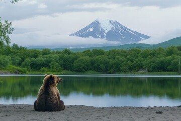 Brown Bear Lake View Majestic Volcano Background