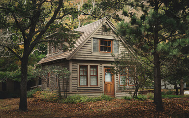 Charming wooden house in a serene forest setting with autumn foliage