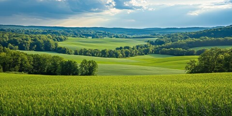Fototapeta premium Vibrant green landscape featuring expansive fields, lush trees, and a serene sky. This beautiful green landscape showcases nature s tranquility and beauty in rich hues of green and blue.