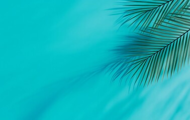 Stunning Turquoise Background with Palm Leaf Shadow