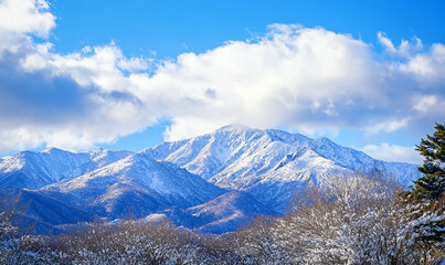 Beautiful winter nature scenery	

