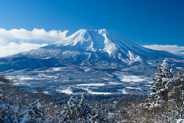 Beautiful winter nature scenery	
